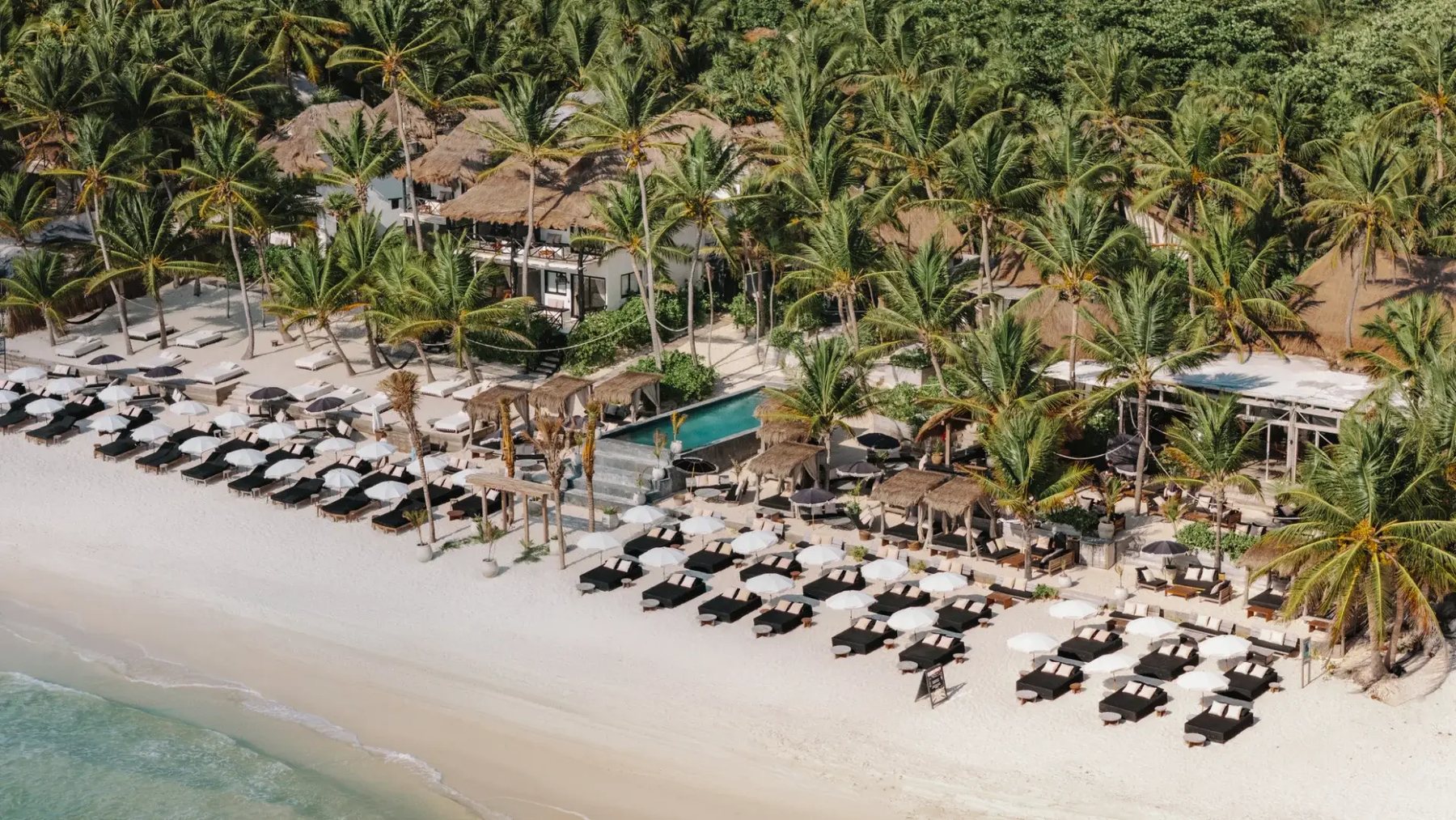 Vista aérea del beach club con camastros, sombrillas y alberca entre palmeras