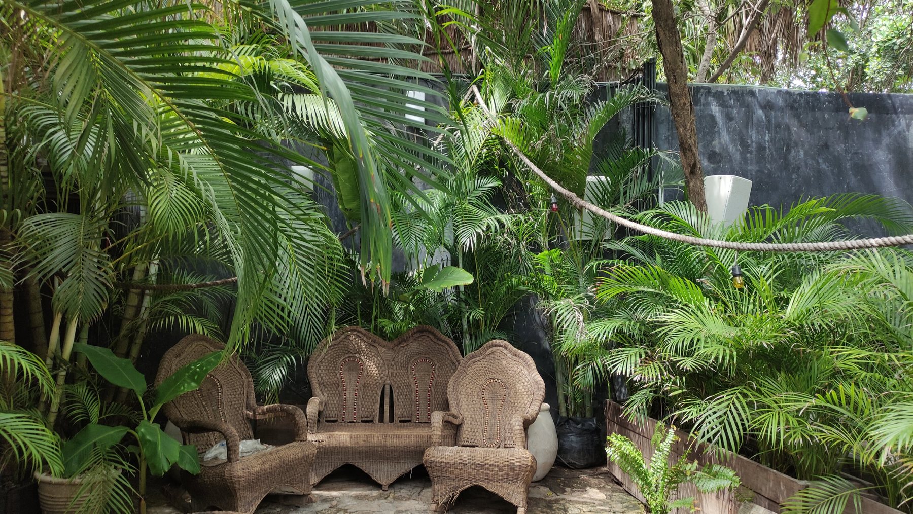 Lounge entre palmas con bocinas integradas en la vegetación