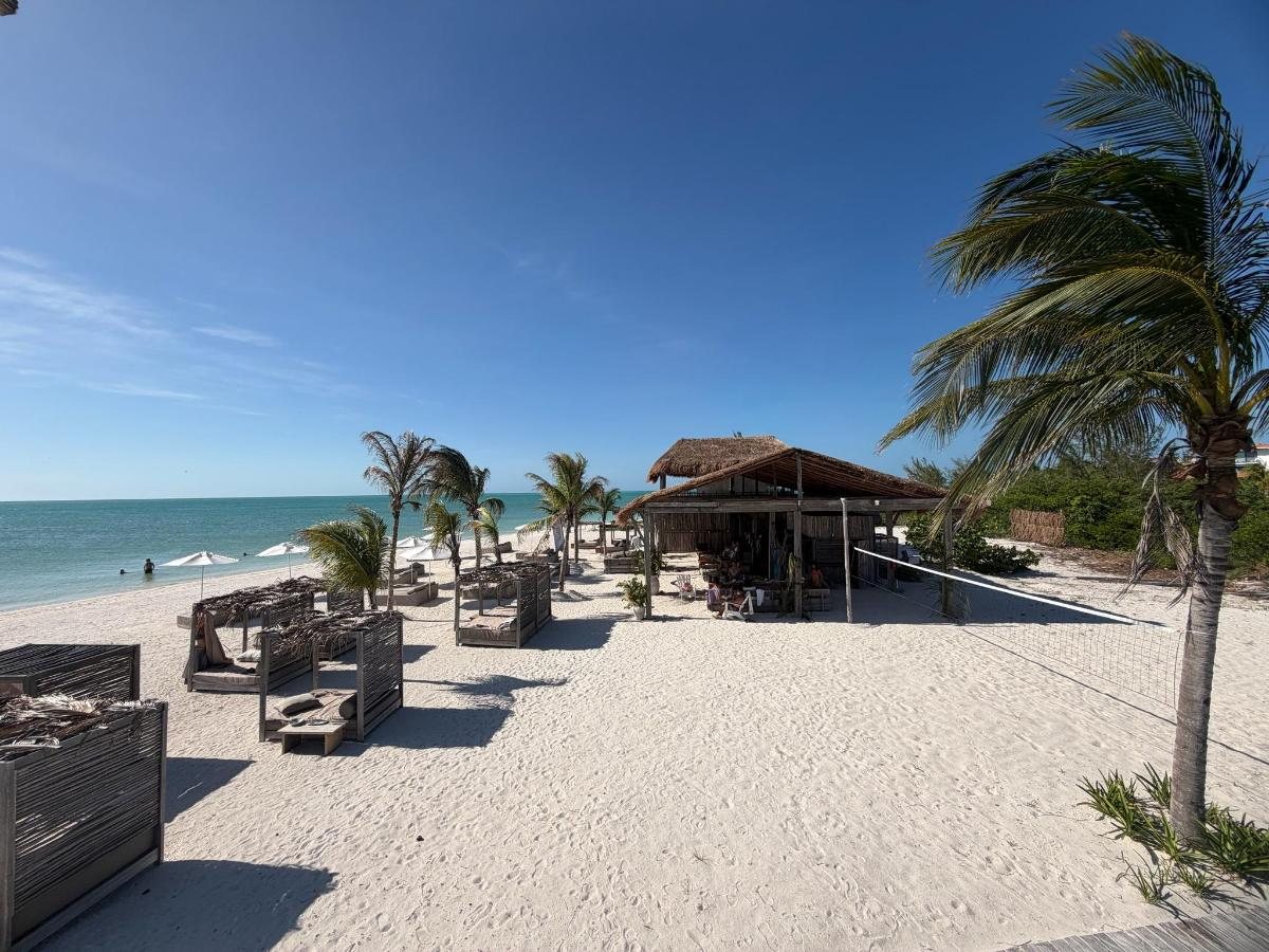 Beach club Naay en la playa de Holbox, con camastros, palapa y palmeras